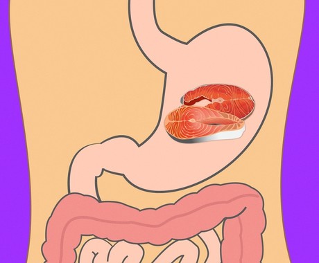 optimal food culture for-continuous health,زمان هزم ماهی